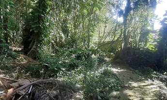 Imagem 6: Frente Ao mar, Casa com 4 dormitórios à venda por R$ 3.800.000 - Jurerê Internacional - Fl