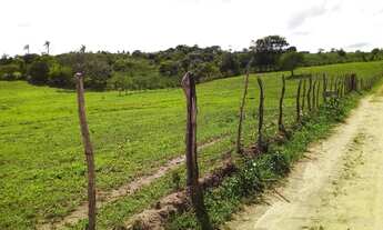 Imagem 2: Sitio com 3.7hectares. AREIAS.PB