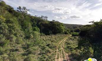 Imagem 3: Fazenda à Venda em Jeremoabo - Bahia 368 Hectares