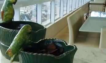 Imagem 3: Apartamento CASA OPUS AREIÃO - 4 suítes