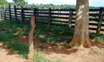 Imagem 7: Fazenda 80 alqueires dupla aptidão 65 mil alqueires Palmeirópolis TO