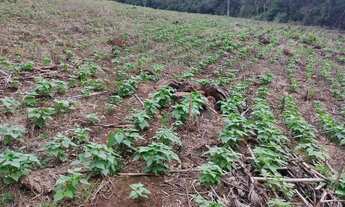 Imagem 3: Sítio 10 hcts, com escritura, no Morro Grande, Rolante