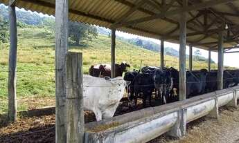Imagem 7: Fazenda Histórica com 132 Alqueires na região de Botucatu-SP