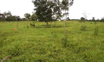 Imagem 5: Fazenda Fazenda / sítio com venda por R$700.000