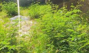 Imagem 4: Terreno á venda bairro Gutierrez/Belo Horizonte