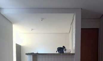 Imagem 3: Apartamento para alugar bairro colorado