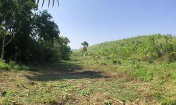 Imagem 6: Fazenda/Sítio para venda possui 22 Alqueires, entre Palmas e Paraiso