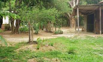 Imagem 7: Lote de 740 metros cercado