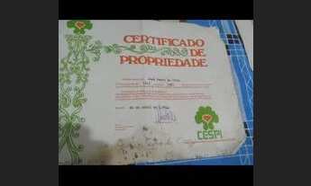 Imagem 3: Lotes Terreno / lote com venda por R$65.000