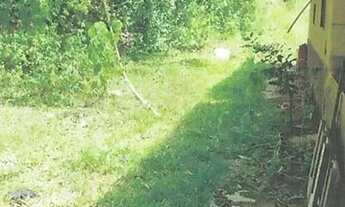 Imagem 3: São Sebastião Do Alto/RJ - Terreno Rural com 5.39.16 hectares na localidade de Santa Alda