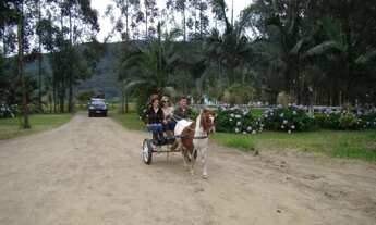 Imagem 7: Vendo chácara 5 ha em Osório