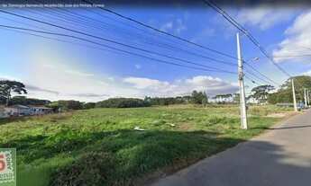 Imagem 2: Área à venda por R$ 4352950.80, 36274.59 m2 - CAMPO LARGO DA ROSEIRA - SAO JOSE DOS PINHAI
