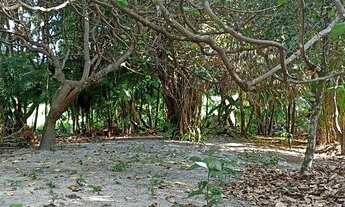 Imagem 5: Excelente Sitio a poucos metros da BR no Maracanã!