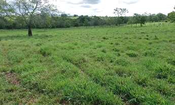 Imagem 6: LINDA CHACARA COM 5,3 HECTARES SENTIDO ROCHEDINHO EM CAMPO GRANDE MS 5462QM