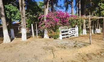 Imagem 6: Sítio com 3 dormitórios à venda, 44000 m² por R$ 680.000,00 - Caetezal de Cima - Piedade/S