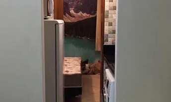 Imagem 3: Apartamento 1 quarto 405 Asa Sul mobiliado