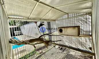 Imagem 5: VERAS VENDE TERRENO 1.500M² COM CASA NO PORTO DAS DUNAS