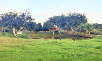 Imagem: Vendo Chácara / Bairro Alto Alegre