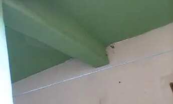 Imagem 4: Aluguel de uma casa