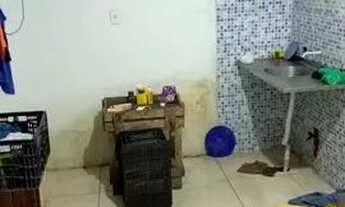 Imagem 5: Ponto ferinha do tabuleiro