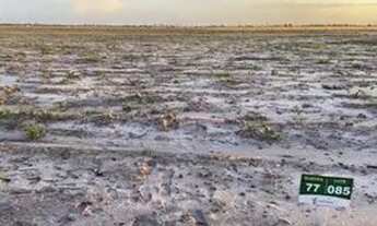 Imagem 3: Vendo terreno no Caburaí 3 /subesquina de costa p sol