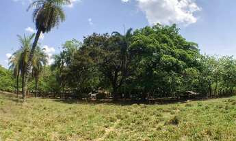 Imagem 4: Fazenda/Sítio para venda possui 22 Alqueires, entre Palmas e Paraiso