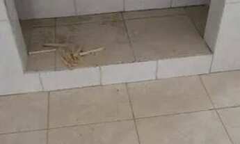 Imagem 5: Sobrado com 3 dormitórios para alugar, 130 m² por R$ 2.700/mês - Planalto Paulista - São P