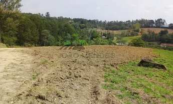 Imagem 5: Sitio 8,5 Alqueires à venda no bairro Campo Largo, em Jarinu/SP