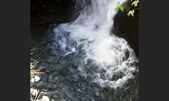 Imagem 2: 2 hectares Chácara com venda por R$100.000