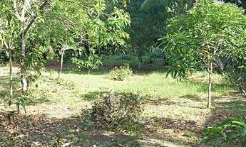 Imagem 2: Excelente Sitio a poucos metros da BR no Maracanã!