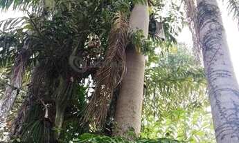 Imagem 4: Venda Sítio Parque Residencial Serra Azul Juatuba