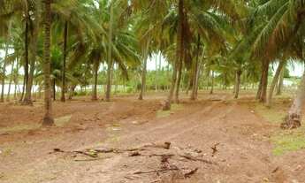 Imagem 4: O seu imóvel dos sonhos cabe em 10.550m2? Então essa é sua oportunidade de ouro