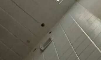 Imagem 6: Aluga se Casa com 2 dormitórios