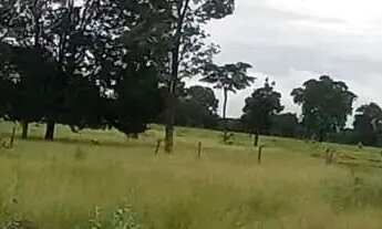 Imagem 2: Imóvel para venda possui 1050 metros quadrados em Setor Central - Mundo Novo - GO