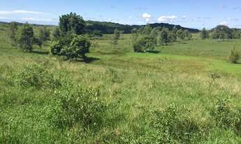 Imagem 4: Fazenda para venda em Araruama/RJ, 52 Alqueires [48.400 cada], Água, Luz, Asfalto na Porta
