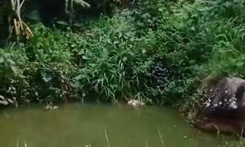 Imagem 3: Chácara a 14 km do coronel Borges Cachoeiro