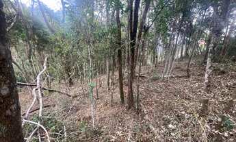 Imagem 5: Chácara 1000m2 oportunidade