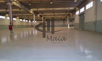 Imagem 3: Locação Galpão Sao Paulo Parque São Lourenço Ref: 42745