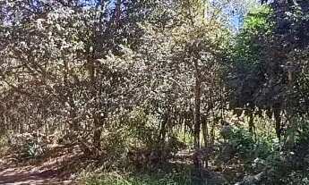 Imagem 3: LINDO LOTE EM ÁREA NOBRE