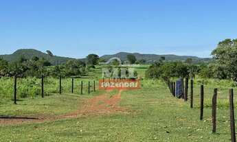 Imagem 3: Fazenda 75 alqueires (363 hectares) Mozarlândia - Go