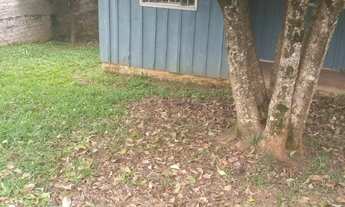 Imagem 4: Terreno 600 mt² Campo do Tenente - PR