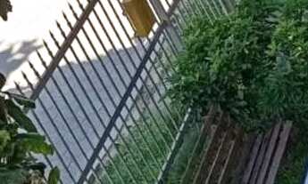 Imagem 7: Apt muitótimo 400 mts do Mar Grosso Laguna SC