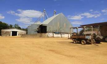 Imagem 7: Fazenda à Venda Região de Campo Novo do Parecis/MT