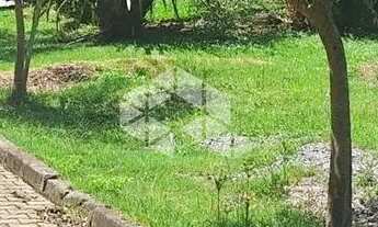 Imagem 4: Terreno com 369 m2 em área arborizada na serra gaúcha