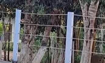 Imagem 3: Vende se chacara de lazer