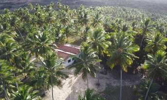 Imagem: Fazenda Mista em Conde -BA