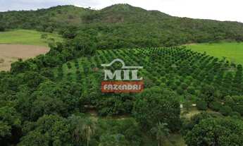 Imagem: Chácara 8 alqueires ( 38,72 hectares )