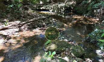 Imagem 3: 90 alqueires Varjão