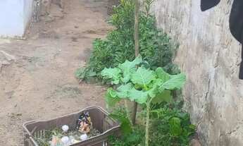 Imagem 6: Casa Casa com 4 dormitórios