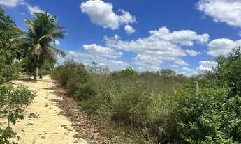 Imagem 3: Tarefas de terra